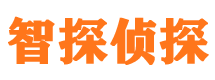 天宁侦探公司